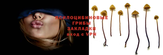 кокаин премиум Арсеньев